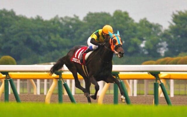 クロコスミア号が競走馬登録抹消