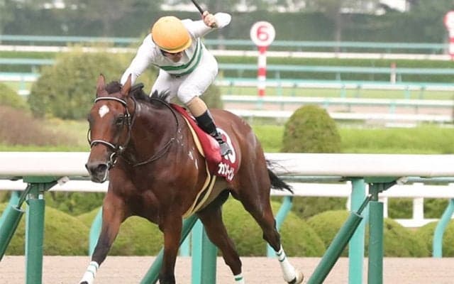 カンタービレ号が競走馬登録抹消