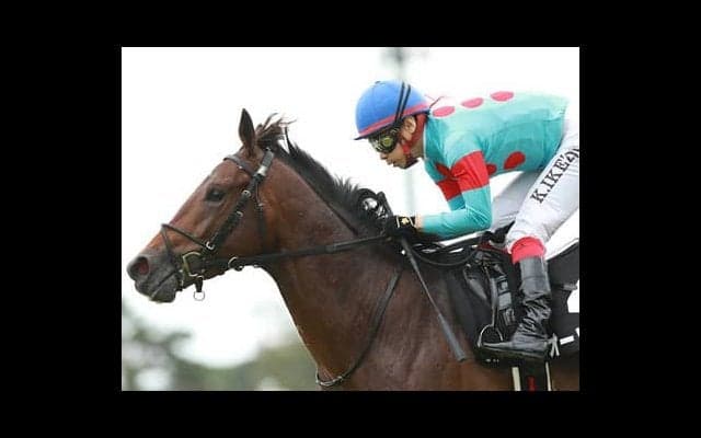 ２強を崩すのはこの３頭。ホープフルＳはボーナス獲得のチャンスだ！