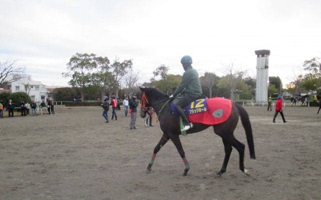 【ホープフルS】ブラックホール 相沢師「小柄ながらいいエンジン」
