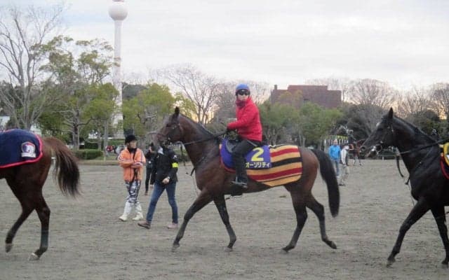 【ホープフルS】オーソリティ 池添謙「当日落ち着いてくれると」