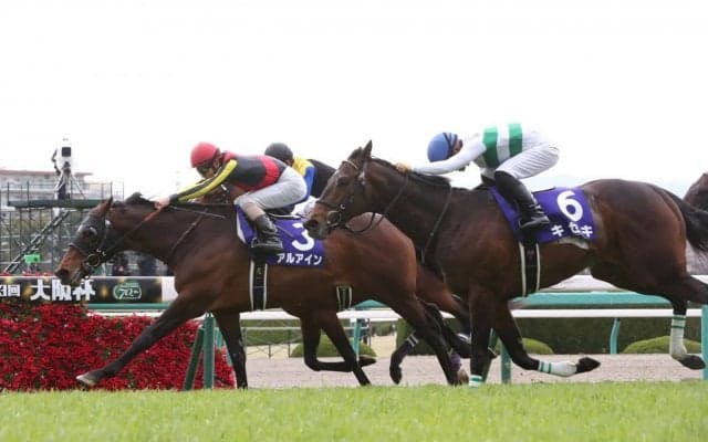 アルアイン号が競走馬登録抹消