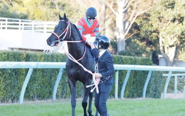 【ホープフルS】JRA今年最後のG1はコントレイルが無傷の3連勝で締める！