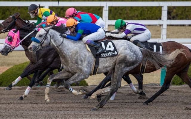 【春待月賞】武豊騎乗の7番人気グランソヴァールがV！