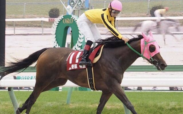 2019年度「民放競馬記者クラブ賞」は菅原明良騎手が受賞