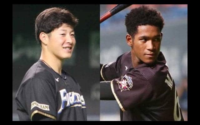 18年ドラ1吉田輝に大砲・万波、平沼…日ハムにはブレーク期待の有望株がズラリ