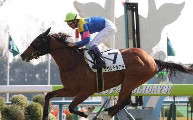 【京都金杯】枠順と見どころ サウンドキアラは2枠3番