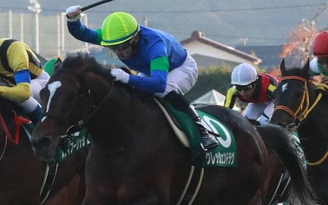 【中山金杯】枠順と見どころ クレッシェンドラヴは2枠3番