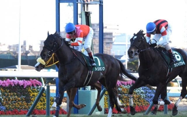 【中山金杯】2020年最初の重賞ウィナーはトリオンフ！