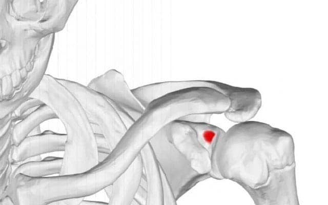 この症状、もしかして四十肩かも・・・？