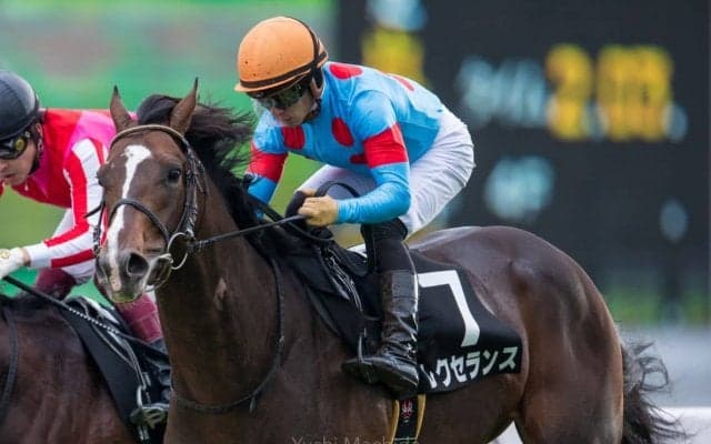 【福寿草特別】レクセランスが無傷の2連勝！