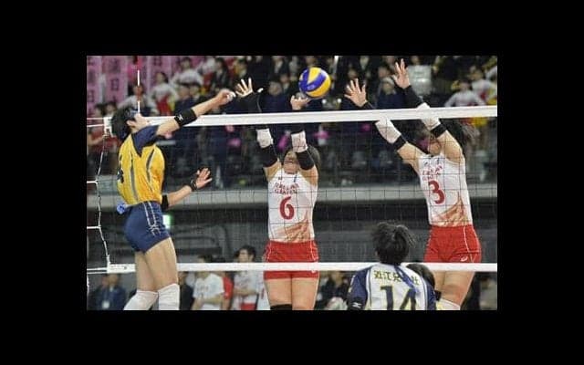 女子の古川学園がストレート勝ち　男子は鎮西が３回戦進出　春高バレー速報（２）