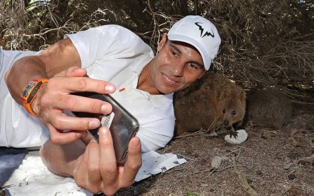 ナダル、フェデラーを真似てクアッカワラビーとのセルフィー公開