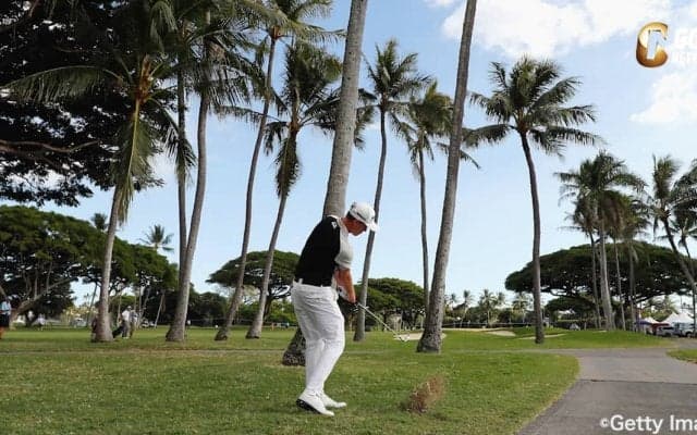 新年最初のフルフィールドで選手たちもリフレッシュ！プロキャディ杉澤伸章さんのソニーオープンインハワイ解説