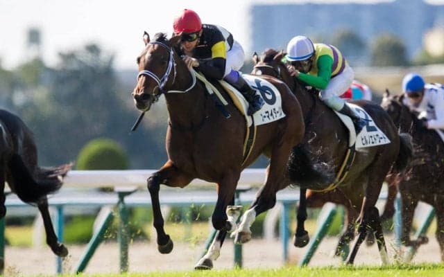 【武豊日記】初めて経験する出来事