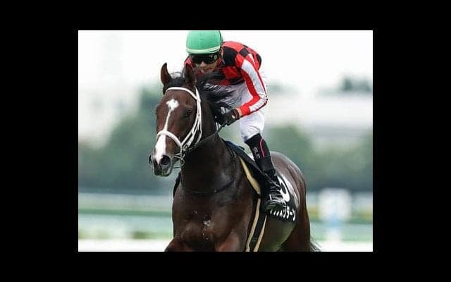 牝馬２頭が有力視されるシンザン記念。朝日杯FS組が人気の盲点を突く