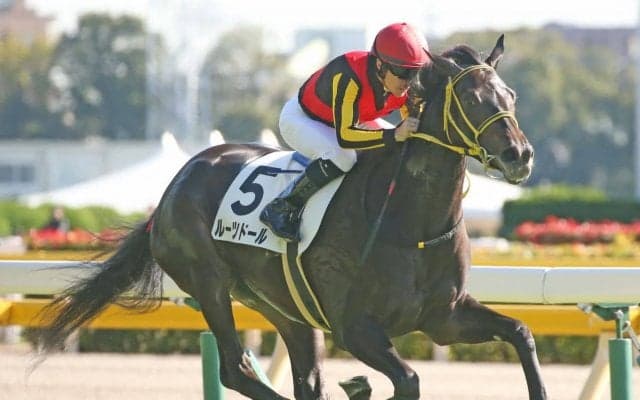 【シンザン記念】枠順と見どころ ルーツドールは8枠9番