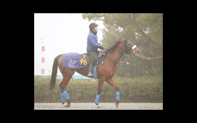 フェアリーＳはビッグなお年玉の好機。未勝利、新馬勝ち３頭に福がある