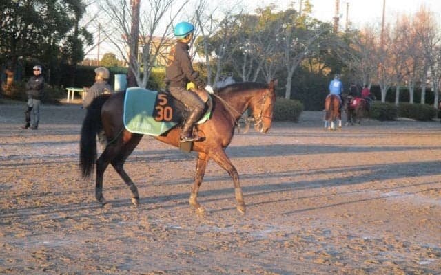 【シンザン記念】サンクテュエール 関東からただ1頭の遠征