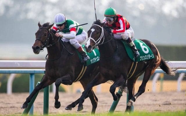 【シンザン記念】サンクテュエールがV！関東から本気の遠征で渾身の最内強襲