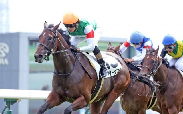 【フェアリーS】枠順と見どころ アヌラーダプラは6枠11番