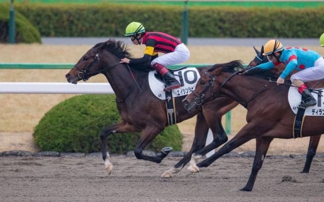 【新馬/京都4R】エイシンシャンツェがデビューV！半兄にエイシンバッケン