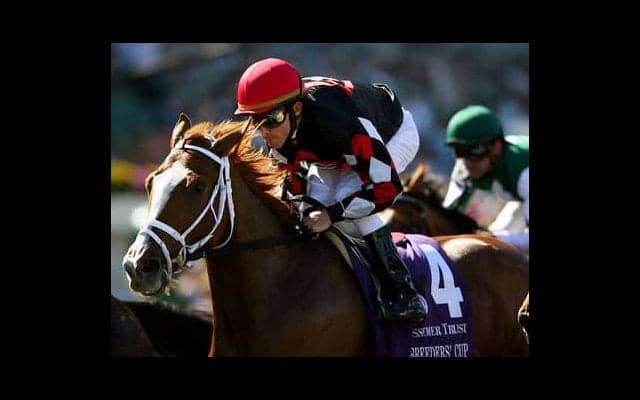 １億9500万円の高値で落札。サトノレガシーは「馬格があって乗りやすい」