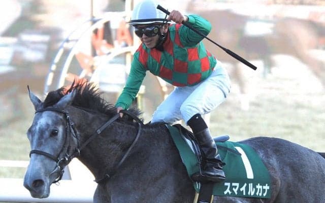 WIN5で3億9000万円超！ビッグなお年玉が的中したのはたった1票