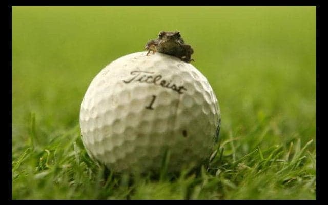 渋野日向子、サントリーと所属選手契約を締結