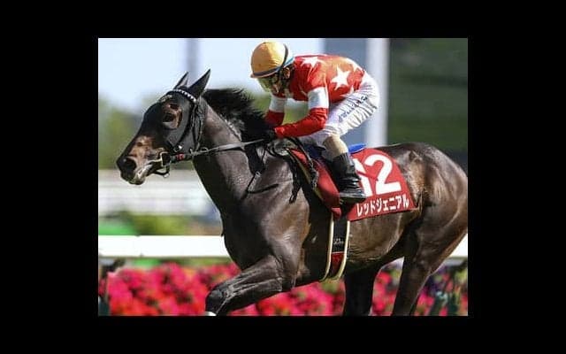 日経新春杯は「京都巧者」推し。父系も母系もコース相性バッチリだ