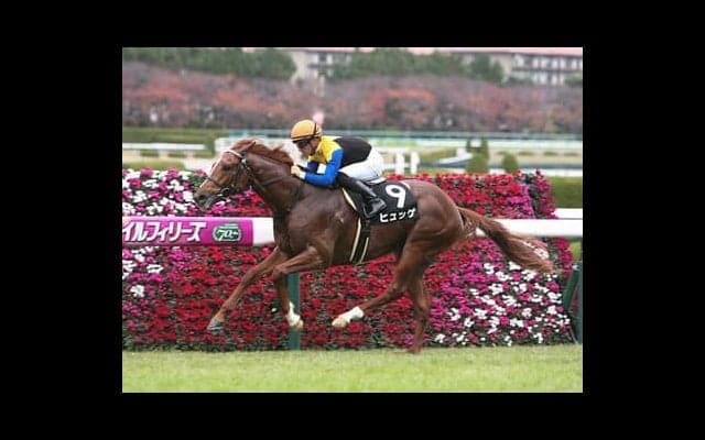 そろそろ荒れそうな京成杯。穴党記者が自信を漲らせる「４頭の穴馬」