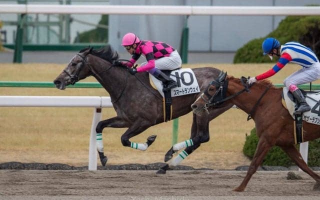 【京都8R】武豊スマートランウェイが逃げ切りで2勝目を飾る
