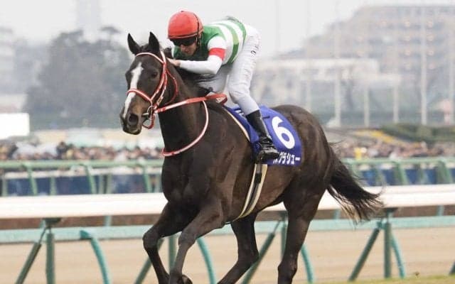 リスグラシュー号が競走馬登録抹消