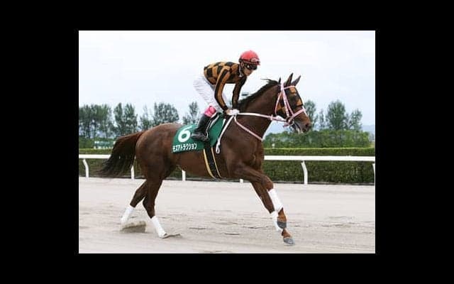 東海Ｓは１番人気が断然も、過去の激走馬と共通する穴馬が好配当を生む