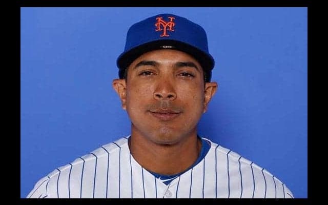 【MLB】メッツ、ロハス新監督の就任を発表　解任ベルトラン監督の後任は名将の息子に