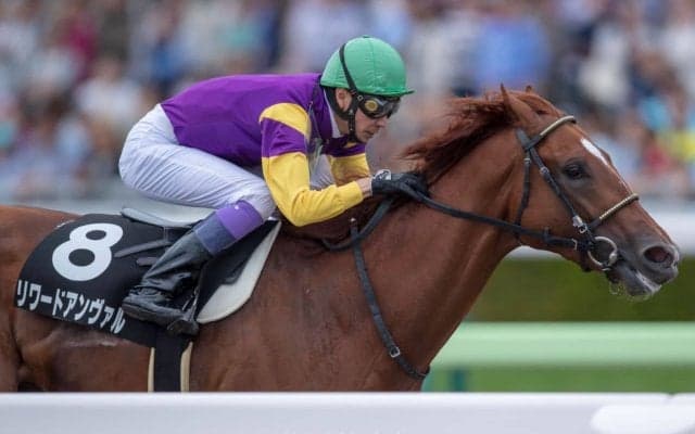 今週の武豊騎手騎乗馬