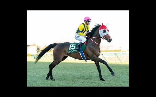 AJCCは大胆な乗り替わりで勝負気配漂う「善戦マン」の大駆けにご用心