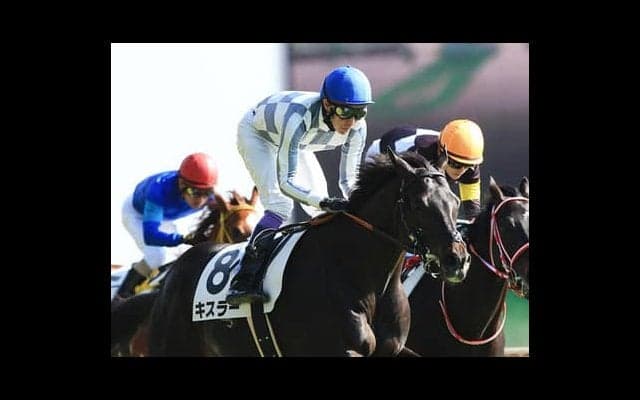 良血ヴェルズネイ。「走る馬特有のバネがある」と名門厩舎が高評価