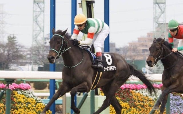 【若竹賞】シーズンズギフトが人気に応えてデビュー2連勝！