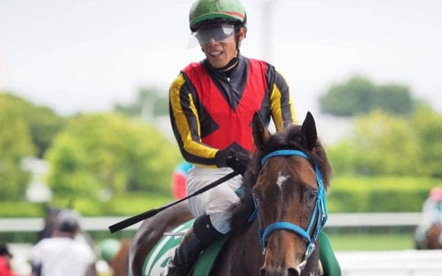 ルミナスウォリアー号が競走馬登録抹消