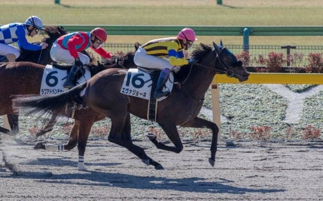 【新馬/東京2R】武豊騎乗のエヴァジョーネがデビューV！