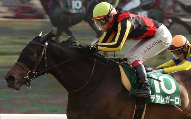 デアレガーロ号が競走馬登録抹消