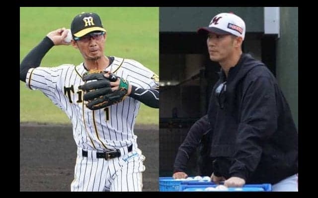 鳥谷敬、西岡剛、新庄剛志らの“電撃”復帰はあるか？　NPBを目指す男たちの球春