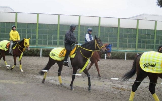 【シルクロードS】ペイシャフェリシタ 高木師「上積みは十分」