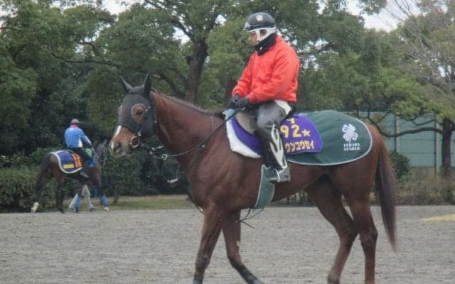 【シルクロードS】セイウンコウセイ メンバー唯一のG1ホースで底力は侮れず