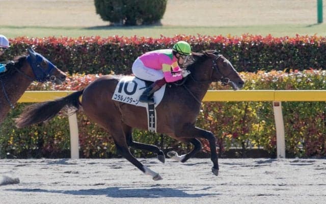 【新馬/東京4R】コラルノクターンが人気に応えてデビュー勝ち！