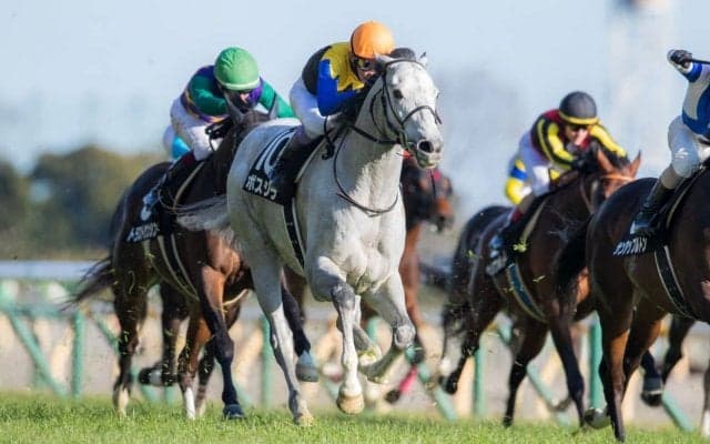 【早春S】ボスジラが3連勝を決める！武豊は本日3勝目