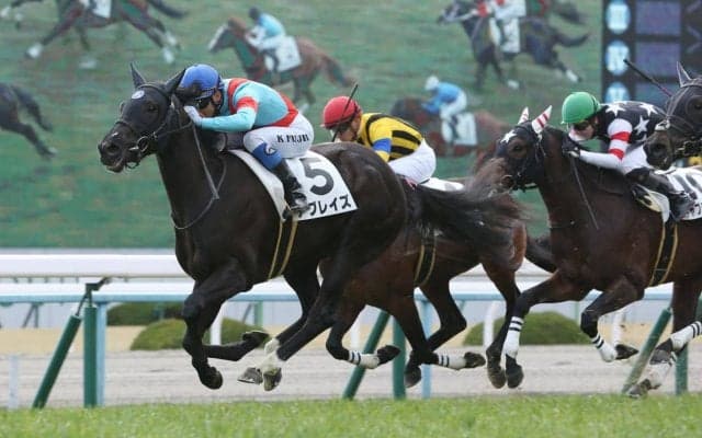 【新馬/京都6R】キズナ産駒のアブレイズがデビュー勝ち！