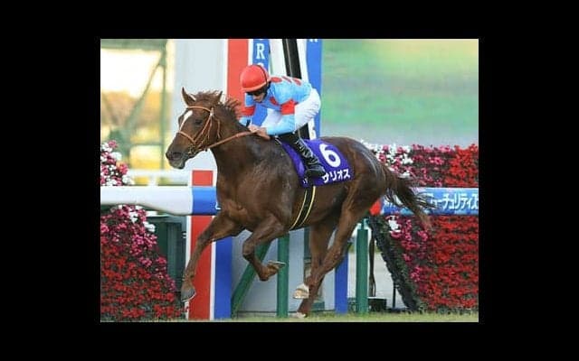 「２強」が見せた揺るぎない強さ。３歳牡馬ランキングはどうなった？