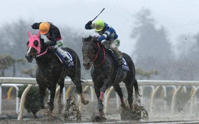 2019年度岩手競馬 年度代表馬はヤマショウブラック号！